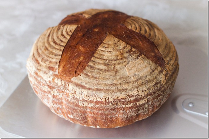 Bread from Brotform