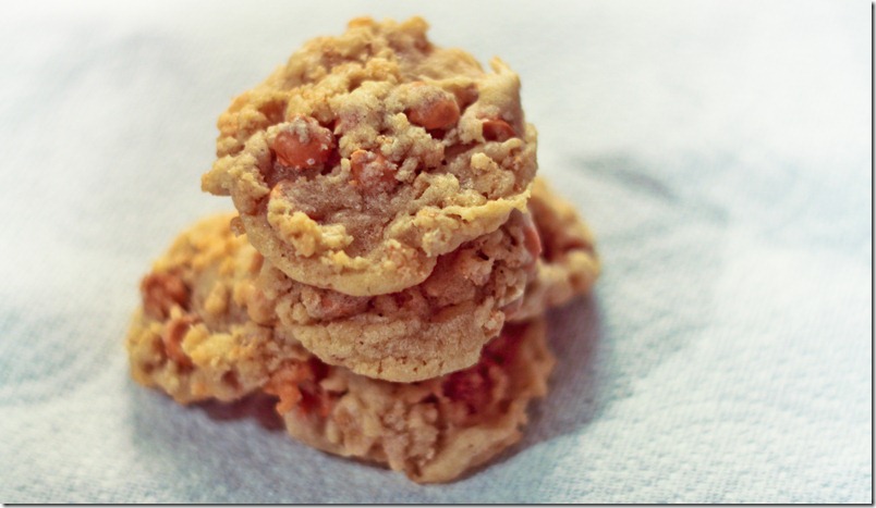 Crispy Butterscotch Cookies (2 of 2)