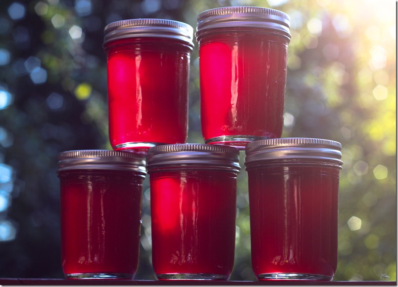 Plum Jelly (2 of 3)