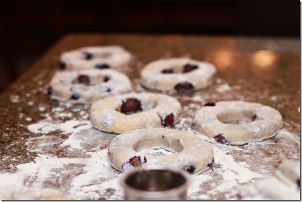 Blueberry Donuts