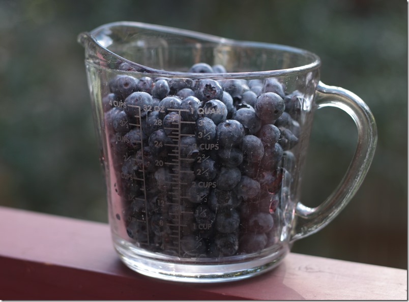 Blueberry Cobbler (1 of 8)